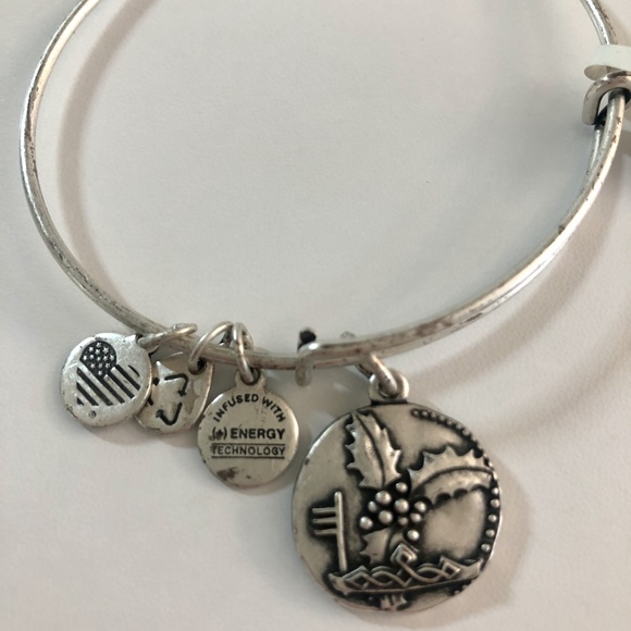Alex & Ani Holly Charm Silver Bracelet - Picture 2 of 3